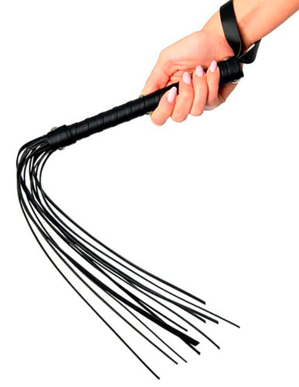 Latigos